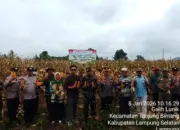 Dukung Ketahanan Pangan Nasional, Polsek Tanjung Bintang Panen Raya Jagung di Galih Lunik