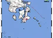 Gempa Buton 23 Februari 2026 Magnitudo 2,7, Dirasa di Pasarwajo