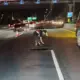 JTT Kerjakan Perbaikan Jalan Secara Bertahap, Operasional Tol Tetap Normal