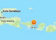 Gempa Magnitudo 3,5 Guncang Karangasem Bali, Getaran Terasa Warga