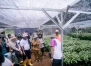 Pemkab Lampung Timur Perkuat Pemberdayaan Warga Hutan lewat Cocoa Agroforestry Berkelanjutan
