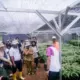 Lampung Timur Genjot Agroforestri Kakao Berkelanjutan untuk Perkuat Ekonomi Warga Sekitar Hutan