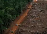 Deforestasi: Ancaman Nyata bagi Lingkungan dan Kesehatan Manusia