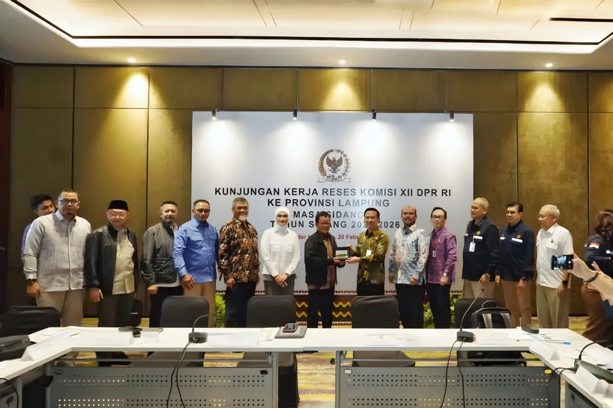 Pemerintah Provinsi Lampung dan Komisi XII DPR RI Bahas Kerja Sama Pengembangan Energi