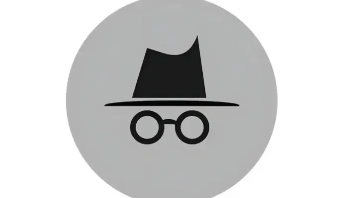 Incognito vs VPN: Mengapa Mode Incognito Saja Tidak Cukup untuk Melindungi Privasi Anda