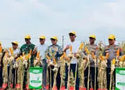 Polsek Tanjung Bintang Bersama Pemkab Lampung Selatan Panen Raya 32 Ton Jagung Raja R7