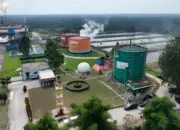 ROA PalmCo Tembus 7,9 Persen, Sinyal Penguatan Kinerja Aset Holding Perkebunan Nusantara