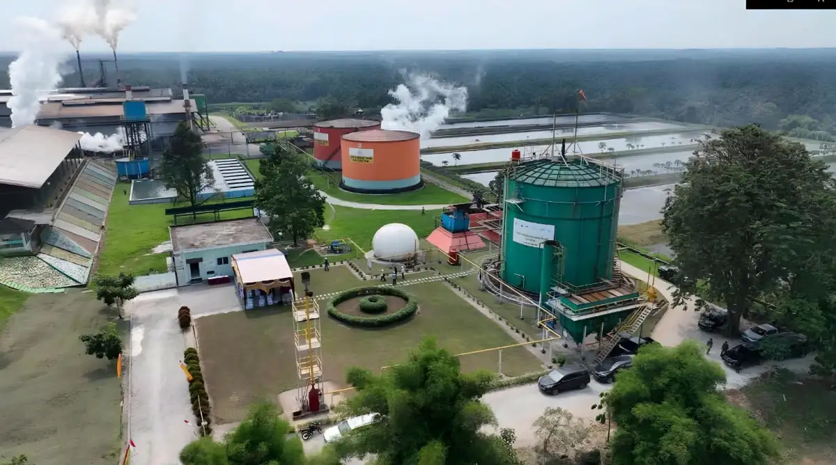 ROA PalmCo Capai 7,9 Persen, Tanda Penguatan Kinerja Aset Holding Perkebunan Nusantara