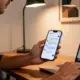 WhatsApp Business API Tanpa Legalitas dan Website, Apakah Bisa Digunakan?