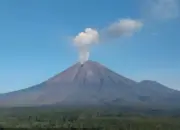 Aktivitas Gunung Semeru Terbaru: Tercatat 21 Gempa Erupsi, Warga Diminta Tetap Waspada