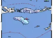Gempa M4,8 Guncang Waingapu Dini Hari! Getaran Terasa hingga Dalam Rumah, Ini Data Lengkap BMKG