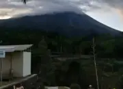 Gunung Merapi Terpantau Keluarkan Asap Tebal 100 Meter, BPPTKG Ingatkan Potensi Awan Panas Guguran