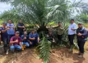 Awal 2026, PTPN IV Regional V Mutasikan 1.119 Hektare TBM-3 ke TM-1