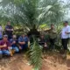 Holding Perkebunan Nusantara Lewat PTPN IV Regional V Realisasikan Mutasi TBM-3 ke TM-1 Seluas 1.119 Hektare