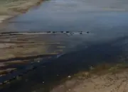 Sungai Eufrat Terancam Mengering, Ilmuwan Soroti Krisis Air di Timur Tengah