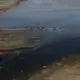 Ilmuwan Soroti Ancaman Mengeringnya Sungai Eufrat di Tengah Krisis Air Timur Tengah