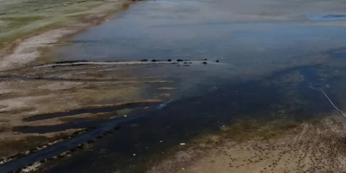 Ilmuwan Soroti Ancaman Mengeringnya Sungai Eufrat di Tengah Krisis Air Timur Tengah