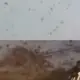 Langit Senja Tel Aviv Dipenuhi Gagak Viral di Media Sosial Pertanda Apa