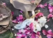 Viral, Netizen Temukan Sesajen Misterius di Pantai Parkus Usai Sahur