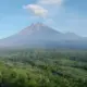 Semeru Kembali Aktif 24 Kali Letusan Terjadi Warga Dilarang Dekati Besuk Kobokan