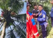 Diduga Serangan Jantung, Pencari Janur Ditemukan Meninggal di Pohon Kelapa