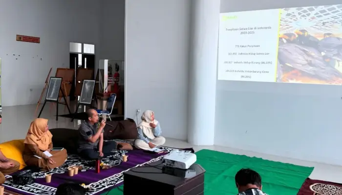 14 Ribu Burung Diselamatkan di Lampung, Mayoritas Hendak Diselundupkan ke Pulau Jawa