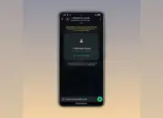 WhatsApp Uji Fitur Guest Chat, Kirim Pesan Tanpa Login!