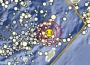 Gempa M 5,1 Guncang Maluku Tenggara, Tidak Berpotensi Tsunami