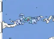 Gempa M3,8 Guncang Larantuka Flores Timur, Getaran Sempat Dirasakan Warga