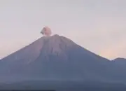 Gunung Semeru Erupsi, Kolom Abu 700 Meter, Warga Diminta Jauhi Zona Bahaya
