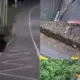 Kejadian Nahas! Warga Trowulan Ditemukan Tewas di Bawah Jembatan Cangar, Dashcam Menyimpan Bukti