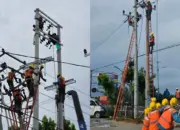 PLN Cepat Pulihkan Listrik Akibat Tiang Ambruk di Jalan Bypass RS Immanuel Bandar Lampung