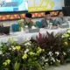 Pimpinan Senat UIN RIL Apresiasi Kenaikan Jumlah Guru Besar di Lingkungan Kampus