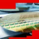 SanDisk Maksimalkan Penyimpanan Data Era AI dengan Teknologi NAND Scaling