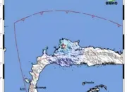 Gempa M4,3 Guncang Toli-Toli, Getaran Terasa hingga Skala III MMI