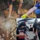 Terungkap Anak di Lahat Bunuh Ibu Kandung Diduga karena Judi Online