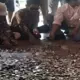 Viral Pendopo Indramayu Dipenuhi Uang Koin Aksi Nelayan Bikin Haru