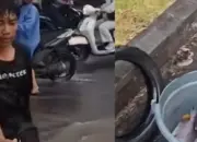 Viral di Sleman, Perempatan Demak Ijo Jadi “Laut Ikan” Usai Hujan Deras