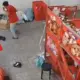 Viral Reptil Lepas dari Paket Kurir Jadi ‘Pemburu di Kantor Ekspedisi