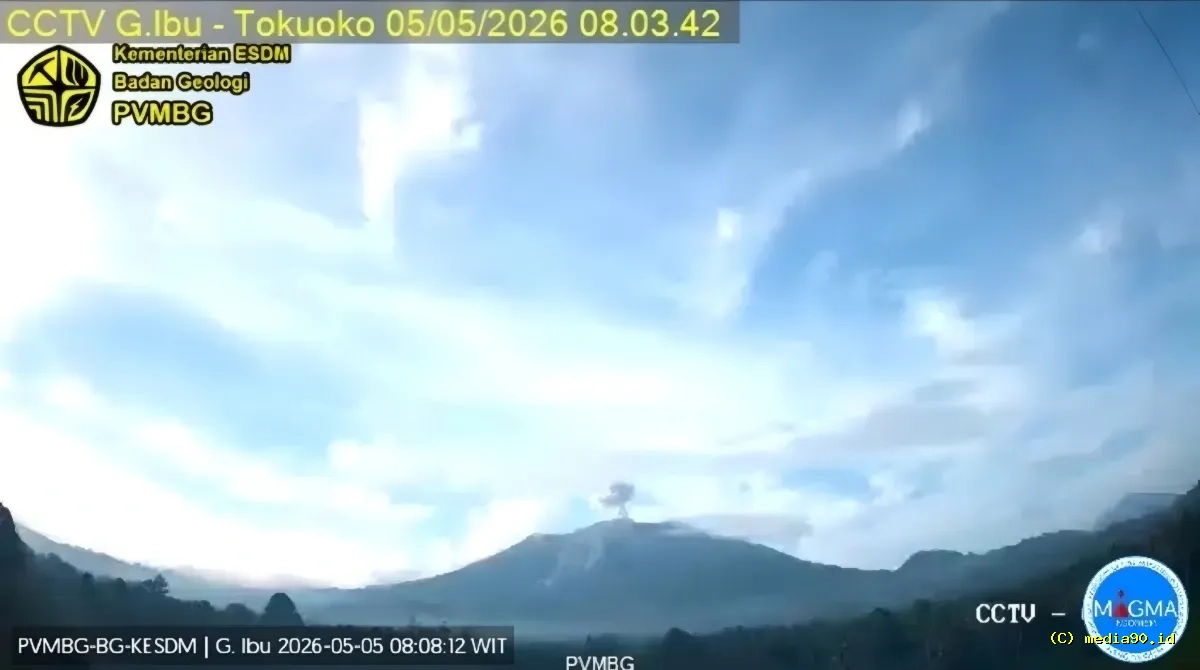 Breaking News: Gunung Ibu Erupsi, Kolom Abu Tebal Mengarah ke Timur Laut