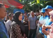 Eva Dwiana Hadiri Penyembelihan Kurban, 36 Ekor Sapi Disalurkan untuk Bandar Lampung