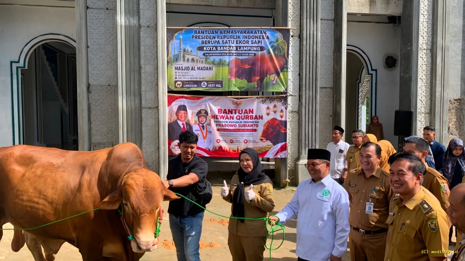 Eva Dwiana Salurkan Sapi Kurban Bantuan Presiden Berbobot 1 Ton ke Ponpes Madarijul Ulum