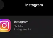 Followers Instagram Mendadak Turun Drastis, Diduga Ada Pembersihan Akun Besar-Besaran