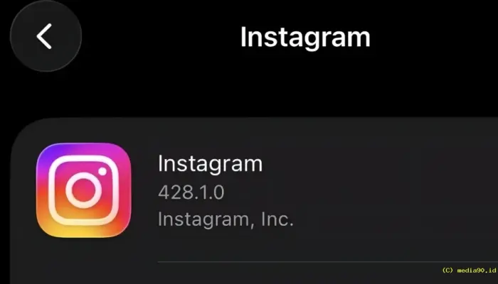 Followers Instagram Mendadak Turun Drastis, Diduga Ada Pembersihan Akun Besar-Besaran