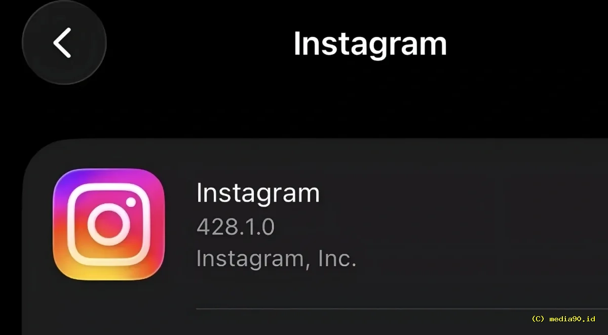Followers Instagram Turun Drastis Netizen Curiga Ada Pembersihan Akun Massal