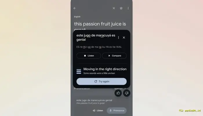 Google Translate Genap 20 Tahun, Hadirkan Fitur Latihan Pelafalan AI untuk Android