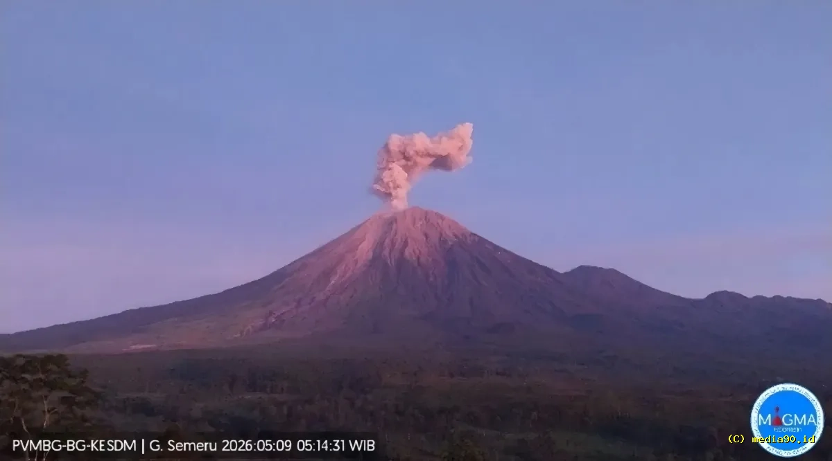 Gunung Semeru Erupsi Pagi Ini Kolom Abu Tembus 12 Km Warga Diminta Waspada