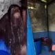 Heboh Orangutan Timtom Gunakan Gayung di Toilet, Diduga Karena Musim Kemarau Parah