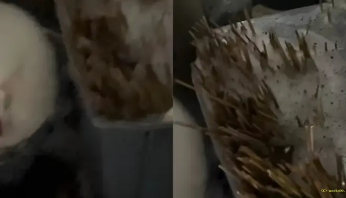 Viral Pembeli Sate Padang di Semarang Ngaku Diare, Tusuk Sate Diduga Dicuci dan Dipakai Ulang