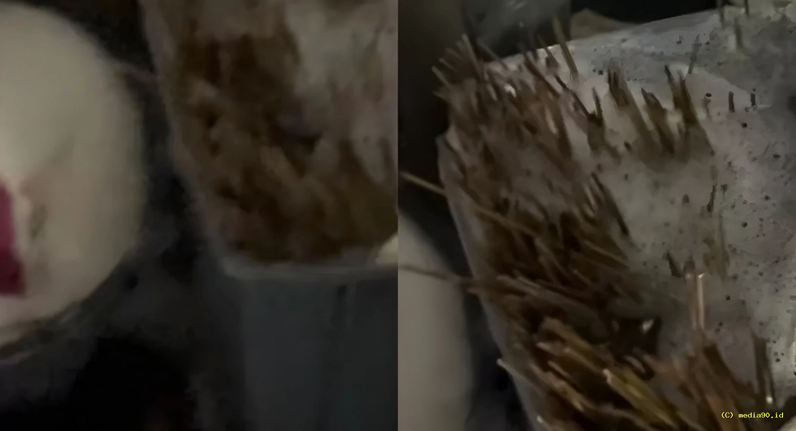 Heboh Pembeli Sate Padang di Semarang Mengaku Diare Tusuk Sate Diduga Dipakai Ulang